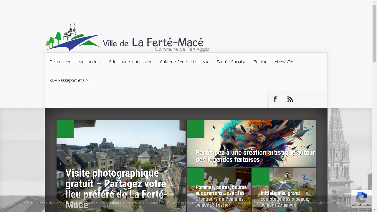 Capture d'écran de http://www.lafertemace.fr/